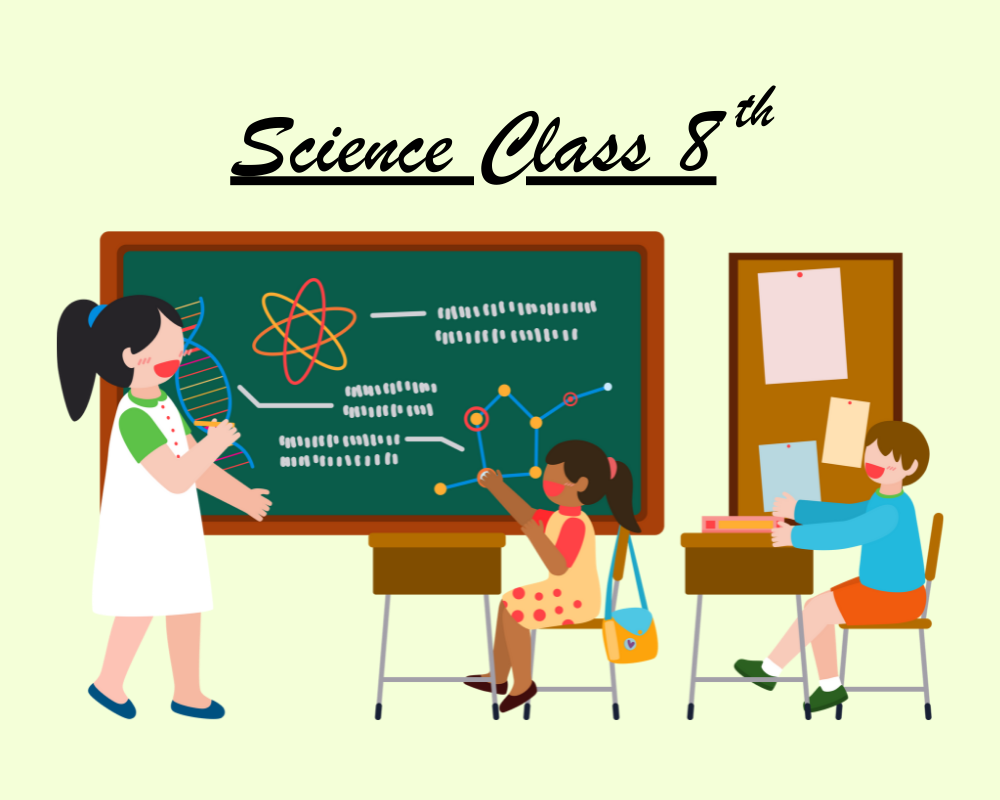 Science Class 8